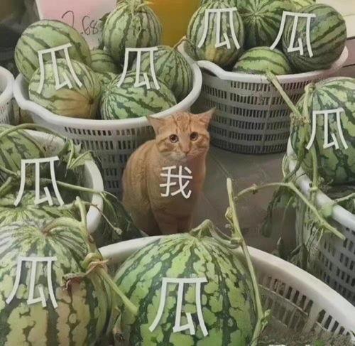 2021吃瓜盘点,娱乐圈风云再起,热点事件回顾