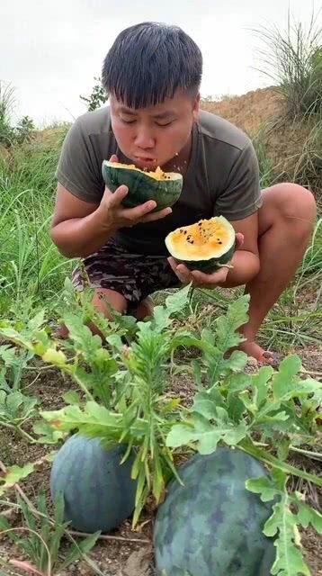 吃瓜小西,吃瓜小西带你揭秘娱乐圈那些事儿