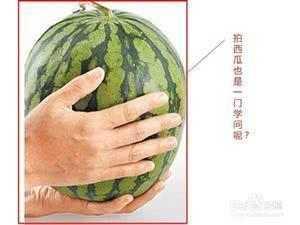 西瓜吃瓜程序