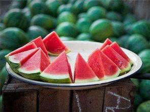 小瓜在吃啥,小瓜的美食探秘之旅