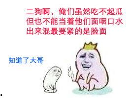 斗图吃瓜照片,揭秘网络社交新潮流