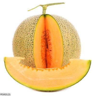 遵义吃哈密瓜视频