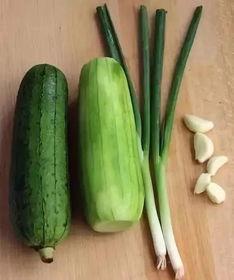 蒲瓜被虫吃,探究防治之道