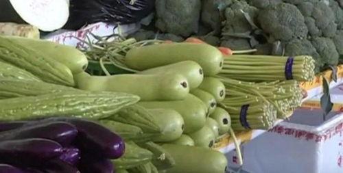 吃小白瓜可以吃种子吗,可食用还是需舍弃？