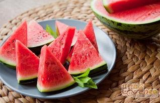 吃瓜公司名字大全,盘点那些独具特色的品牌名称