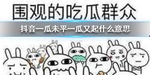 抖音吃瓜情报,揭秘热门事件背后的真相