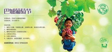 如何打造吃瓜活动主题,揭秘如何打造一场别开生面的吃瓜主题活动