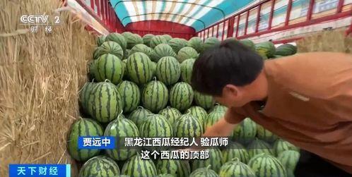 都昌吃瓜,揭秘当地特色美食背后的故事