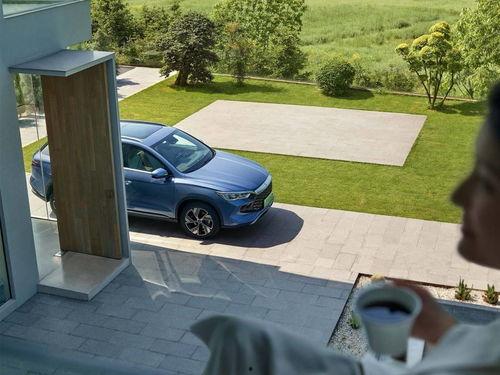 比亚迪销售吃瓜事件,揭秘背后真相与行业影响