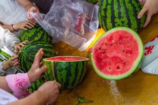 吃瓜视频安装,带你领略网络娱乐新潮流