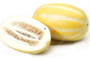 吃蒲瓜舌头麻,蒲瓜之麻