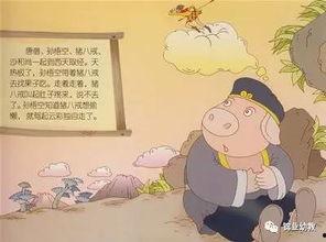 中二的吃瓜观众