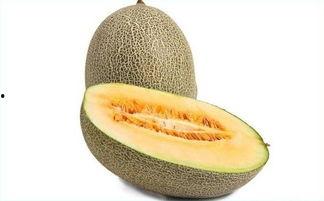 吃哈密瓜小便,尿液飘香之旅