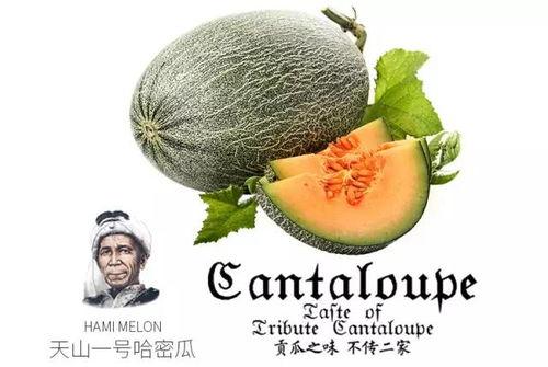 前排吃瓜小小号,揭秘娱乐圈幕后风云