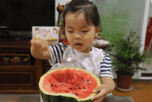 吃瓜网友故事,娱乐圈背后的那些事儿