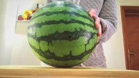 吃不甜的瓜视频,探寻瓜类的新奇口感与营养秘密