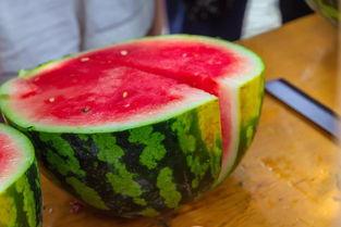 甘肃武威学校吃瓜